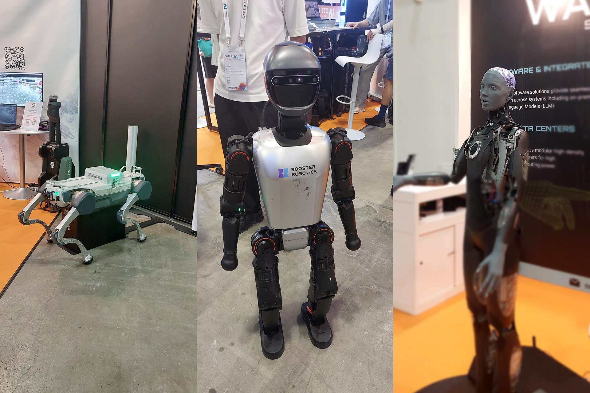 From left to right: A quadruped robot from Deep Robotics’ Jueying series, Booster Robotics’ T1 robot, and the Ameca humanoid robot developed by Waiys.